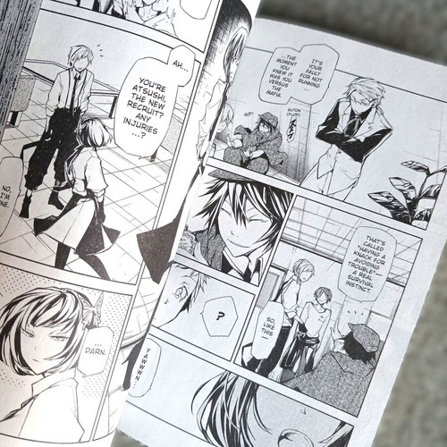 Bungo Stray Dogs Volume 2 manga like new, English edition