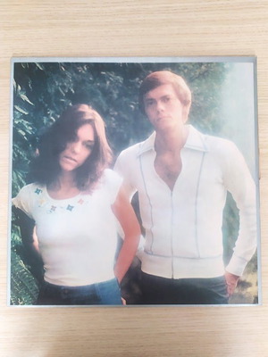 Carpenters Horizon LP винилов запис използван, 33 оборота, 1975