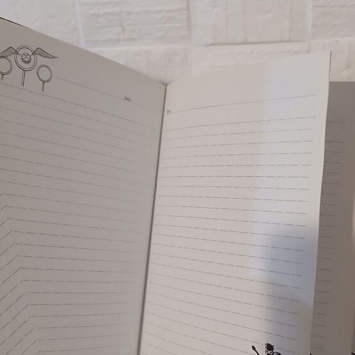 Harry Potter Quidditch Captain journal notebook