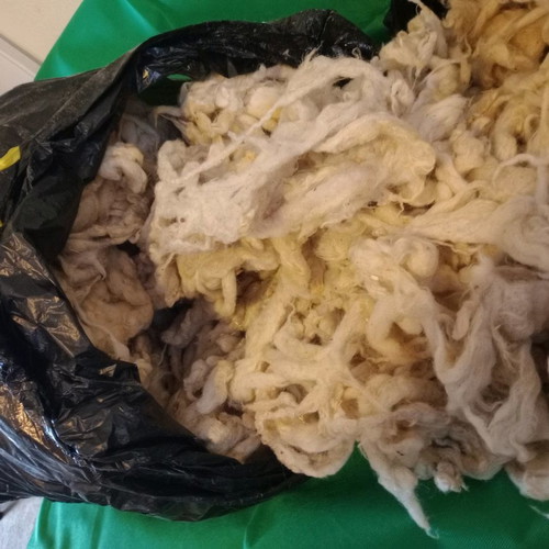 Sheep wool new, unprocessed and washed for knitting