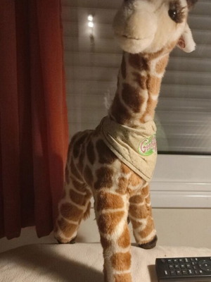 Giraffe stuffed animal used, 48 cm height