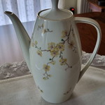 Thomas Germany Bavarian Porcelain Serving Set vintage, like new, 161 pieces