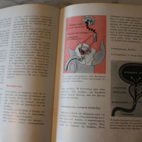 Dictionary of Human Anatomy 1963, new, Greek language