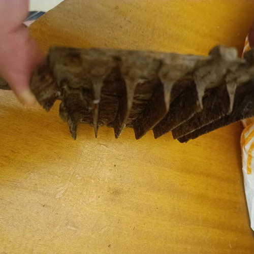 Ottoman iron horse curry comb late 19th century