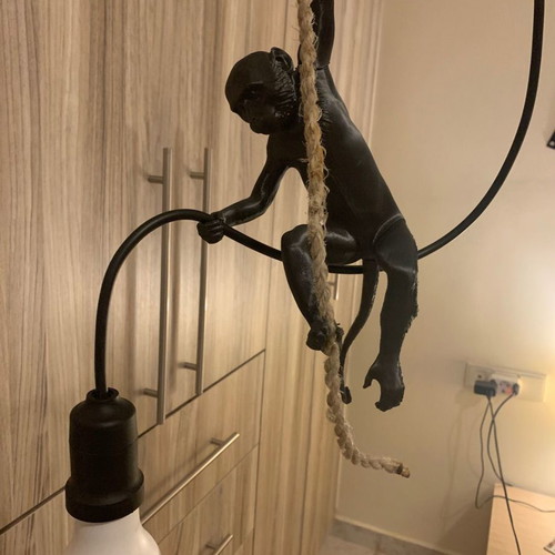 Ceiling light Monkey with lamp new 3D print
