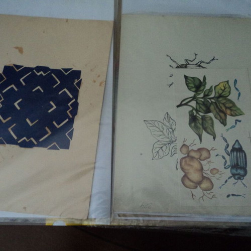 Paper cuttings used, archive of 12 pieces from the 1970s