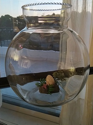 Fish Bowl like new, height 20 cm, diameter 20 cm