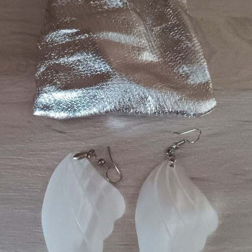 Earrings pair new with case silver