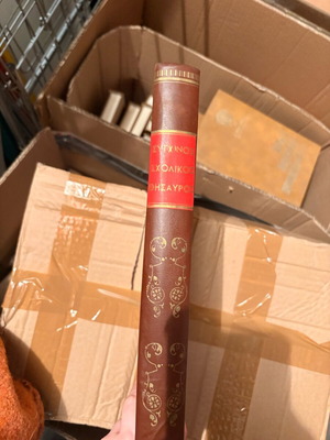 Modern School Treasure like new