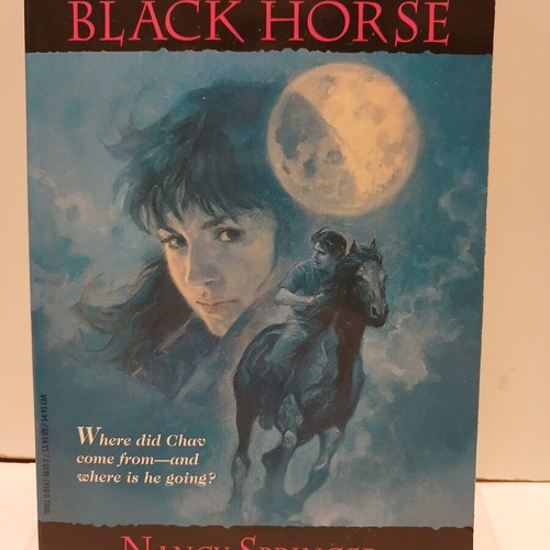 Βιβλίο The Boy on a Black Horse της Nancy Springer 1994