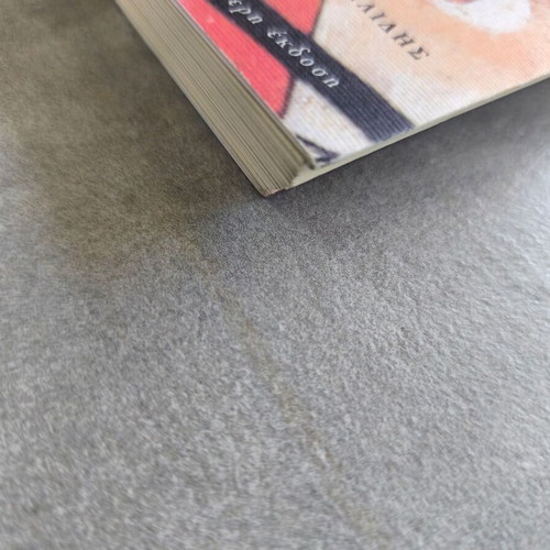 Book The Wild Numbers used
