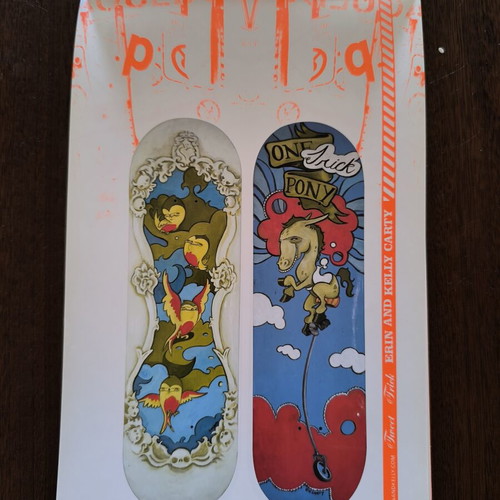 Street Camp Skateboard Art Catalog 2006 like new