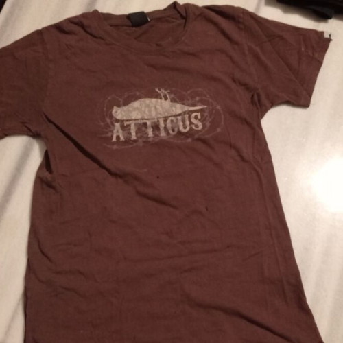 Vintage T-shirts used, pack of 5, small, skate brands