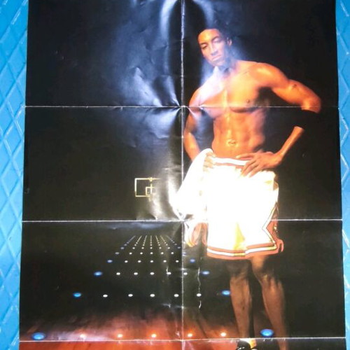 Scotty Pippen NBA poster used, collectible
