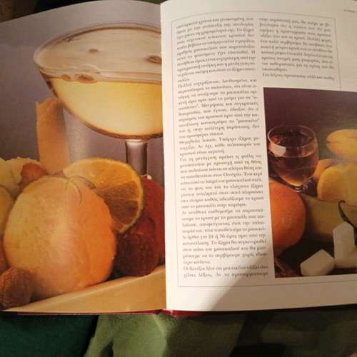 The Book of Wine like new, hardcover