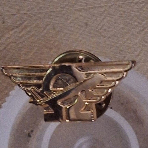 Omega Schools Promotional Pin 1970s, like new