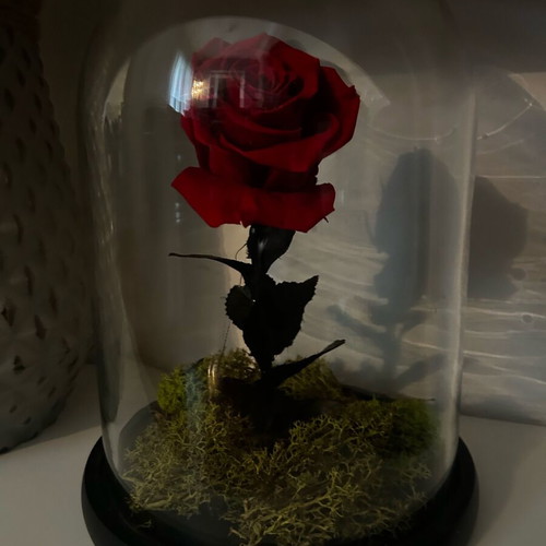 Forever Flower 26cm like new