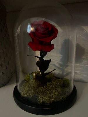 Forever Flower 26cm like new
