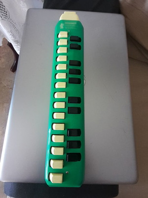 Hohner Melodica Soprano vintage wind instrument used, 25 keys, green