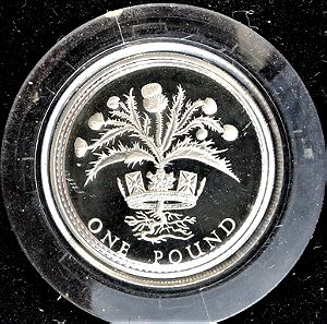 United Kingdom 1 pound 1984 (PROOF - silver) "Scottish thistle"