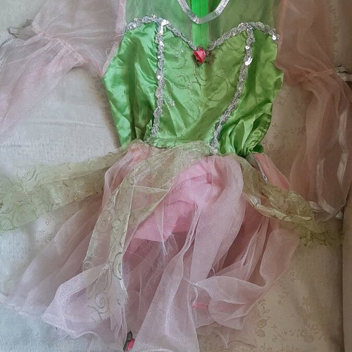 Fairy costume used for ages 5-7