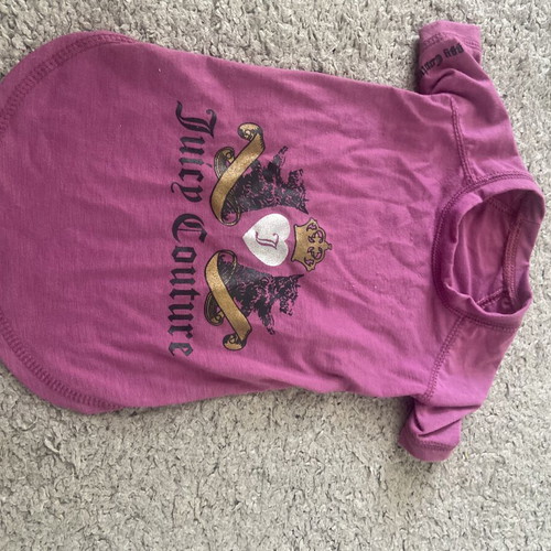 Clothing set for small dogs new, warm for autumn and winter
