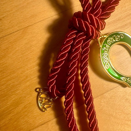 Good Luck Charm new