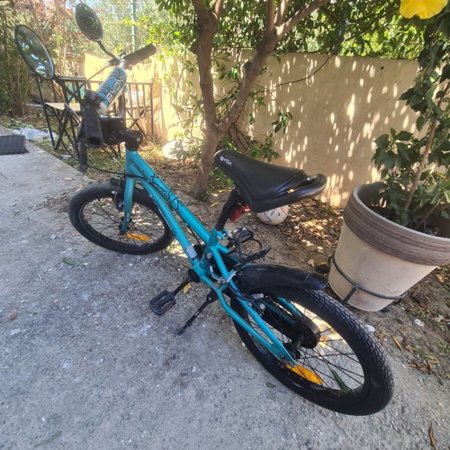BYOX 18" bicycle, trekking style