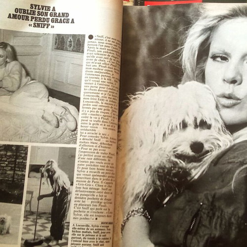 Paris Match vintage magazines collection, French