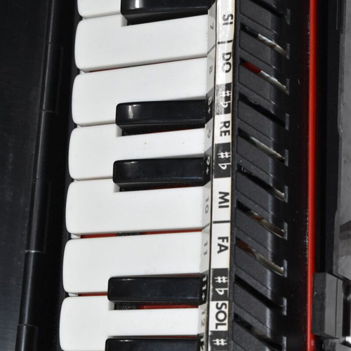 Bontempi Classic Melodica used with case and flexible tube
