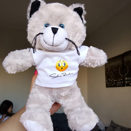 Collectible plush cat with Sakis Rouvas promo t-shirt, like new