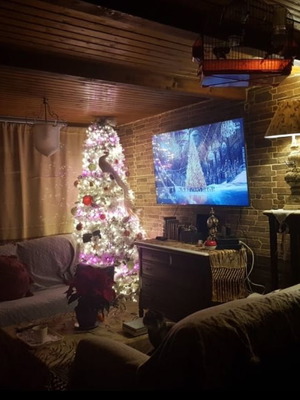 Μονοκατοικία επιπλωμένη με αποθήκη σε έκταση 4 στρεμμάτων στα Ιωάννινα