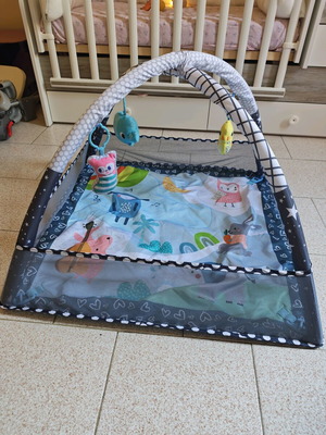 Lyntimo Baby Play Gym & Activity Mat σαν καινούργιο με 20 μπάλες