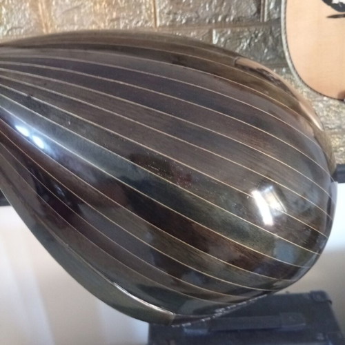 Trichordo Bouzouki like new with pickup