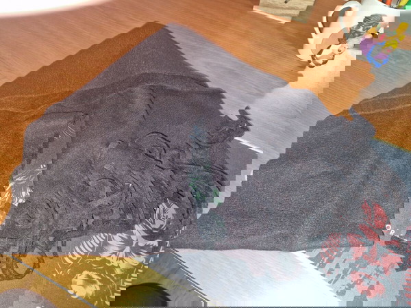 Κασκόλ