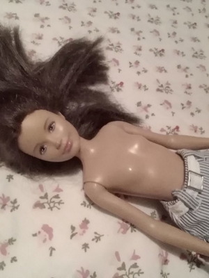 Barbie Skipper Doll 2010 used collectible