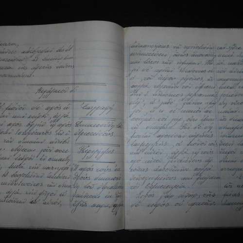 School writing notebook used, 68 pages, Plutarch and Homer notes