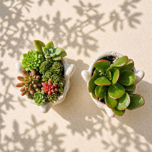 Handmade Cement Face Planters with Succulents