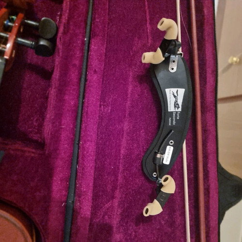 Student violin new