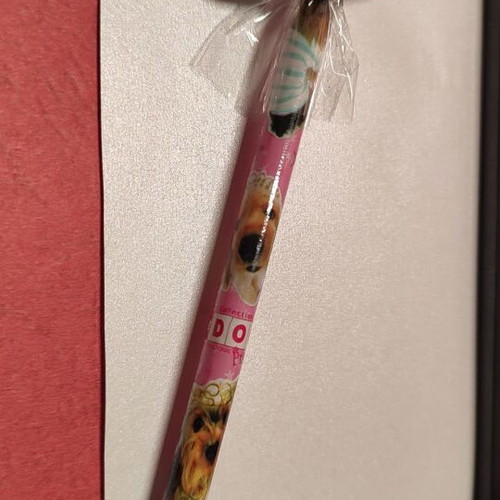 Pencil with removable eraser topper The Dog Artist collection new