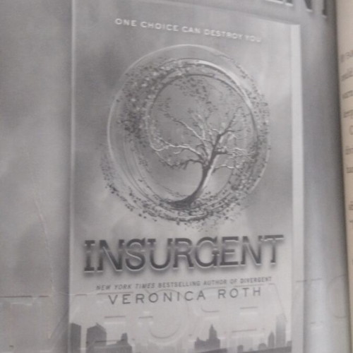 Divergent by Veronica Roth like new, English edition