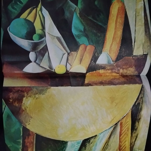 Pablo Picasso art book, Alkion editions, famous painters gallery