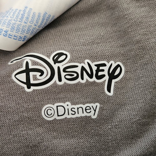 Disney The Black Pearl T-shirt, large, grey