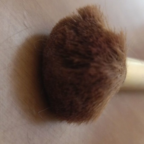 Max Factor blush brush used
