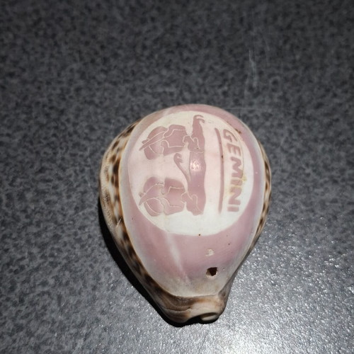 Tiger Cowrie shell used, handcarved Gemini zodiac decoration
