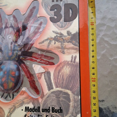 Σπάνιο Συλλεκτικό Βιβλίο Vogelspinne in 3D μεταχειρισμένο, David George Gordon