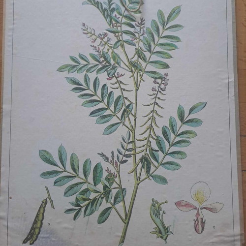 Vintage cardboard school poster, Indian painter
