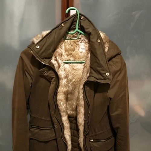 Women's Trafaluc parka jacket used, green, size M