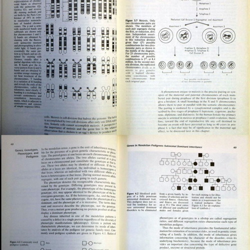 Genetic Medicine by Karl H. Muench like new, English edition