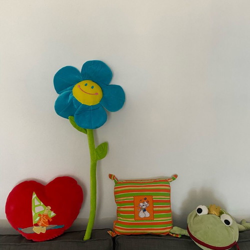 Pack of 4 used pillows and stuffed toys